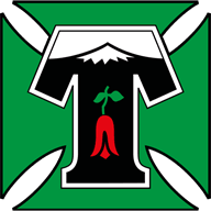 Deportes Temuco crest