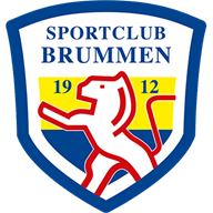 Brummen crest