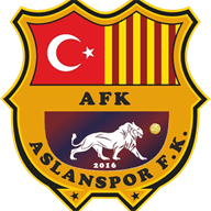 2016 Aslan Spor crest