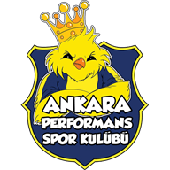 Ankara Performans Spor crest