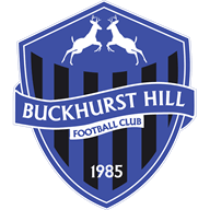 Buckhurst Hill crest