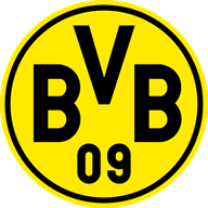 BVB North Texas crest