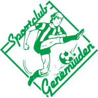 Genemuiden crest