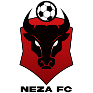 Toros Neza crest