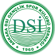 Ankara DSI crest