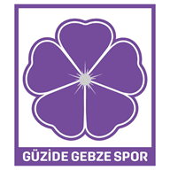Gebze SK crest