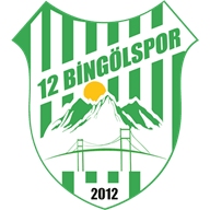 12 Bingöl Spor crest