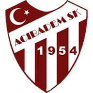 Acibadem crest