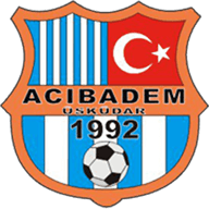 Acibadem Üsküdar Spor crest