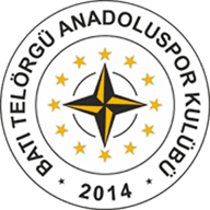 Ankara Anadolu Spor crest