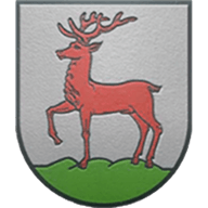 FC Visk crest
