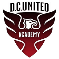 DCU Academy crest