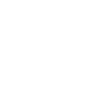 Swansea crest