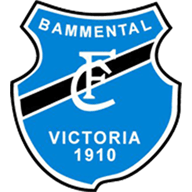 Bammental crest